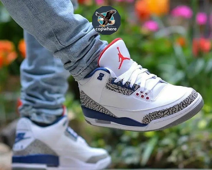 Air Jordan 3 OG