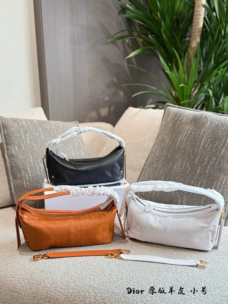 Dior Handbags journey 2025